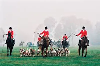 Illustration whip - Image 2