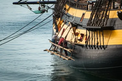 Illustration flake - Image 1