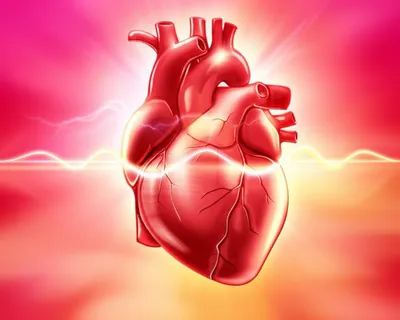 Illustration palpitates - Image 1