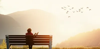 Illustration displacement - Image 1