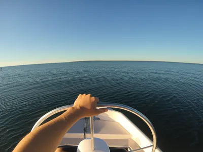 Illustration steer - Image 1