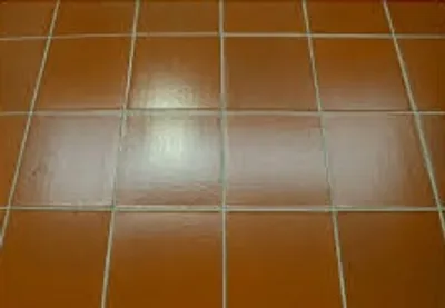 Illustration sheen - Image 2