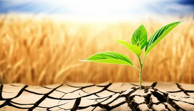 Illustration prime - Image 1