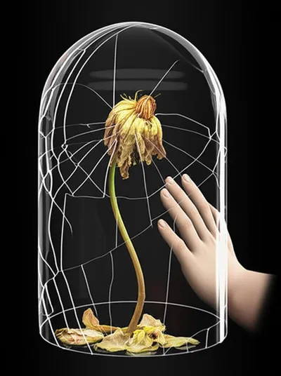 Illustration incurables - Image 1