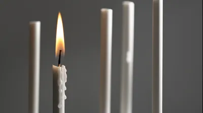 Hình ảnh minh họa conclude