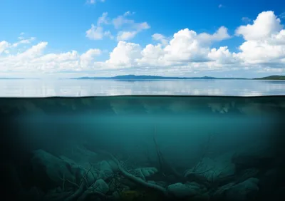 Illustration seeming - Image 1