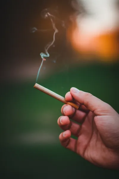 Illustration buns - Image 1