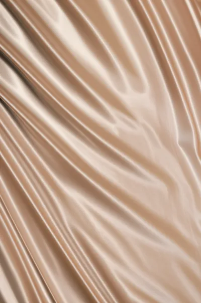 Illustration silken - Image 1