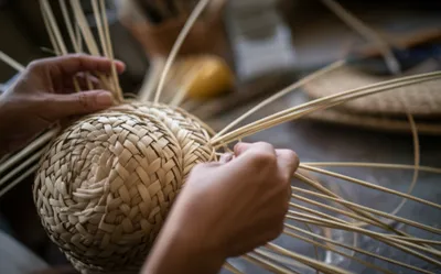 Illustration chip - Image 1