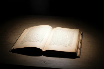 Illustration illuminates - Image 1