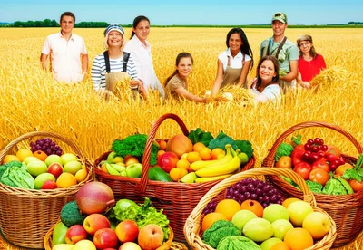 Illustration sufficiency