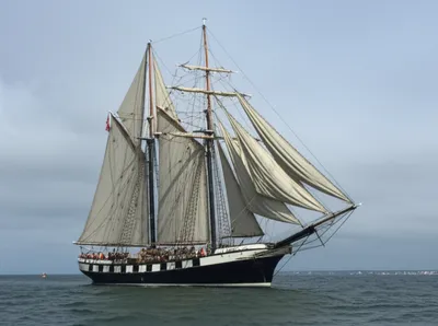 Illustration snow - Image 1