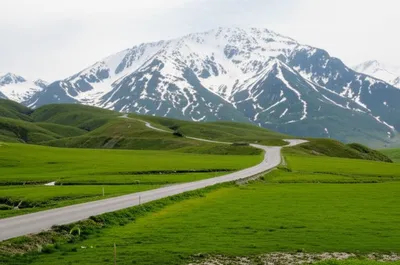 Illustration covered - Image 1