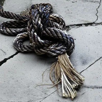 Illustration braid - Image 1