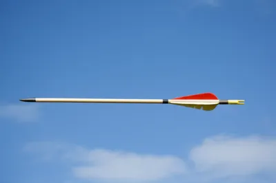 Illustration flights - Image 1