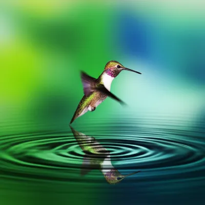 Illustration fleeting - Image 1