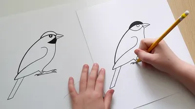 Illustration imitated - Image 1