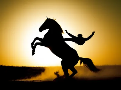 Illustration riders - Image 1