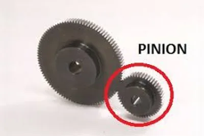 Illustration pinion - Image 2