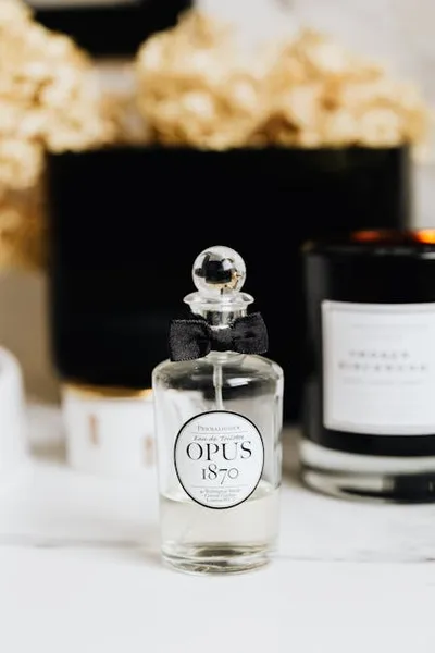 Illustration opus - Image 2