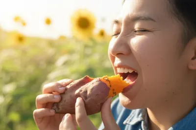 Illustration girasoles - Image 1