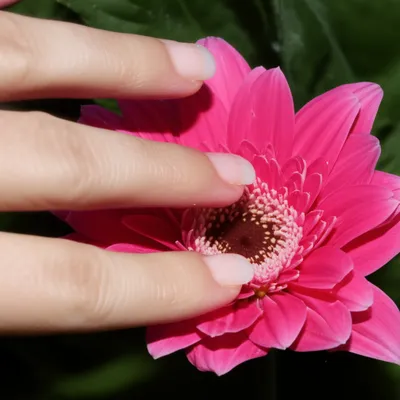 Illustration touching - Image 1