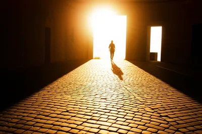 Illustration gone - Image 1