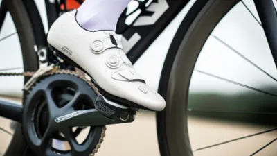 Illustration ankle - Image 1