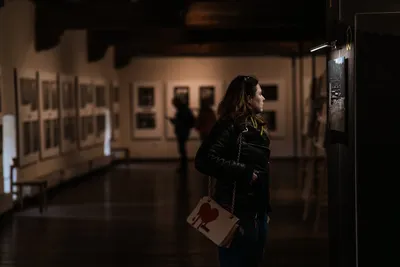 Illustration visitors - Image 2