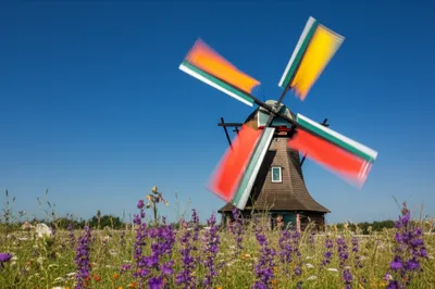 Illustration vane - Image 1