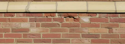 Illustration coped - Image 1