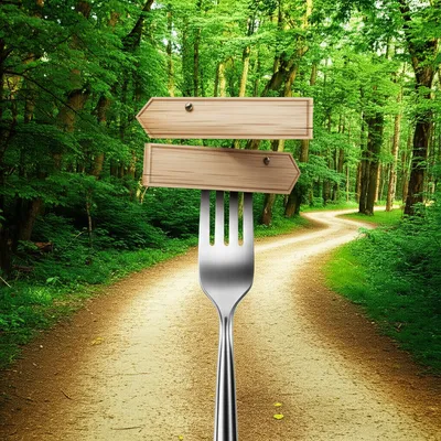 Illustration lesson - Image 1