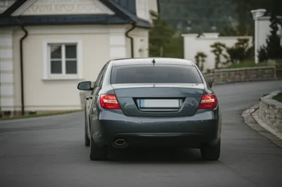 Illustration backing - Image 1