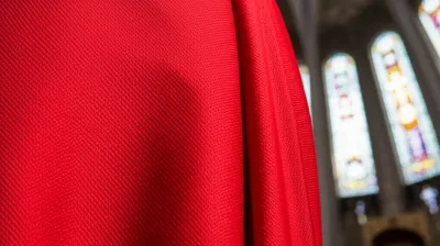 Illustration cardinal - Image 1