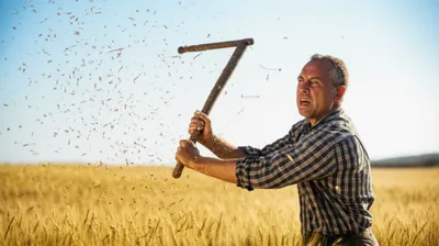 Illustration thrashing - Image 1