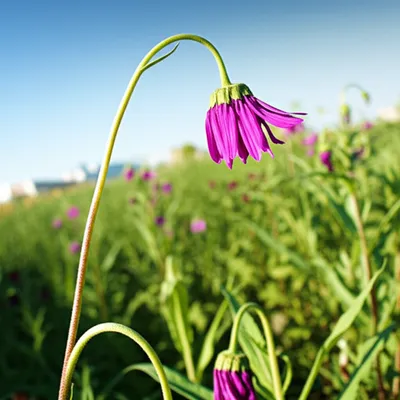 Illustration conceding - Image 1