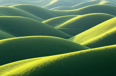 Illustration ridge - Image 1