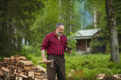 Illustration woodsman