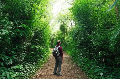 Illustration erred - Image 1