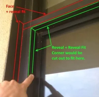 Illustration reveal - Image 2