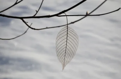 Illustration expiration - Image 1