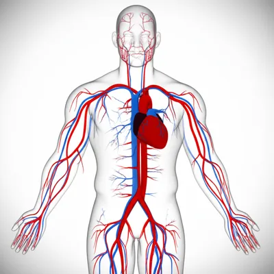 Illustration blood - Image 1