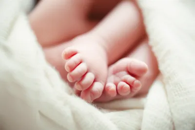 Illustration infants