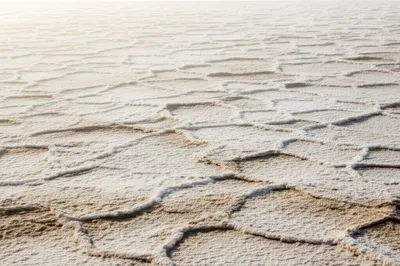 Illustration niter - Image 1