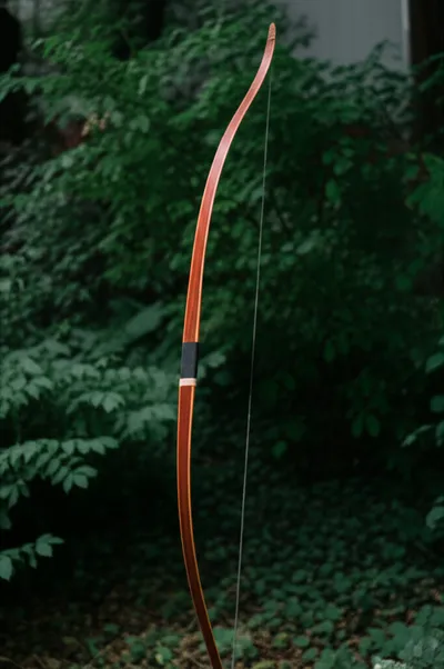 Illustration yew - Image 1