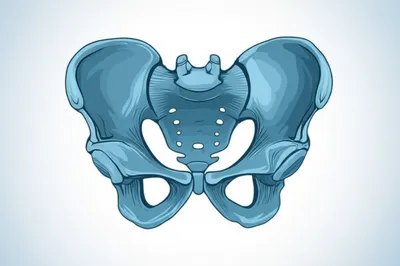 Illustration android - Image 1