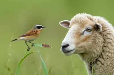 Illustration tick - Image 1