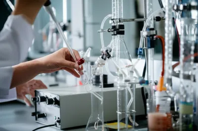 Illustration manipulated - Image 1