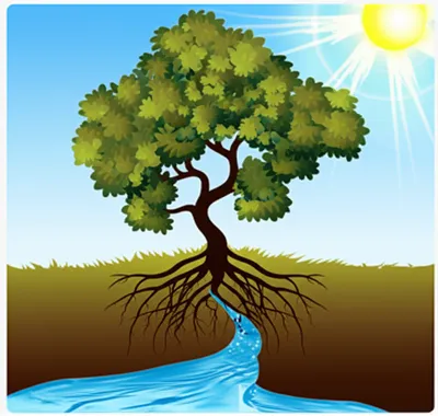 Illustration frame - Image 1