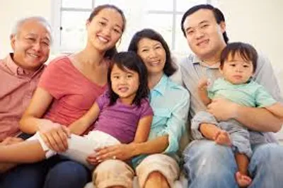 Illustration domestic - Image 2